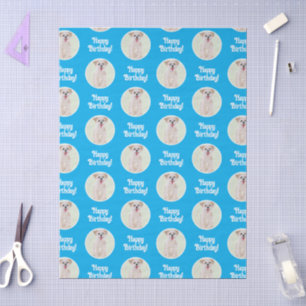 Papel De Seda Perro Morkie Azul