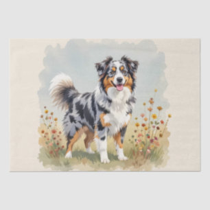Papel De Seda Perro Pastor Australiano Merle Cola Larga