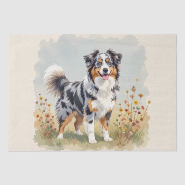 Papel De Seda Perro Pastor Australiano Merle Cola Larga (Anverso)