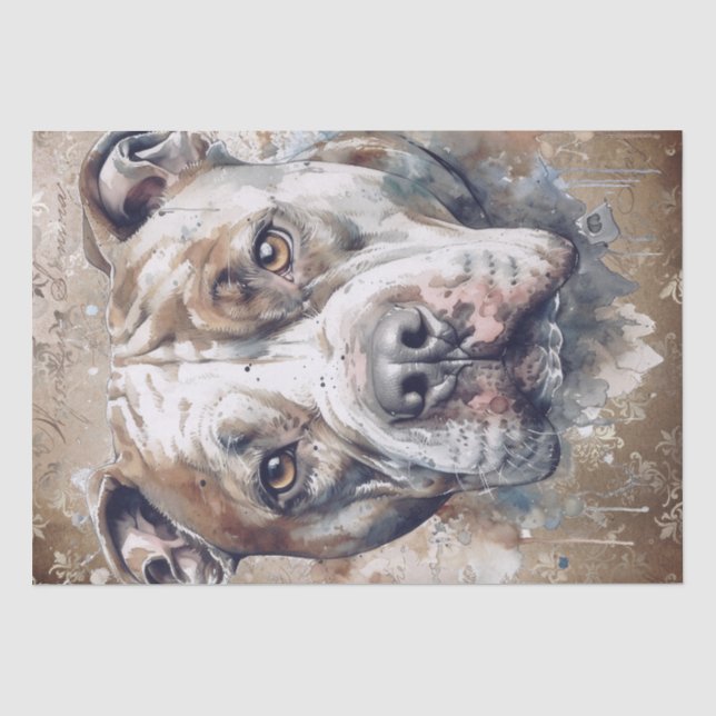 Papel De Seda Perro Pitbull americano (Anverso)