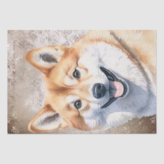 Papel De Seda Perro Shiba Inu (Anverso)