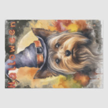 Perro Terrier de Halloween Yorkshire