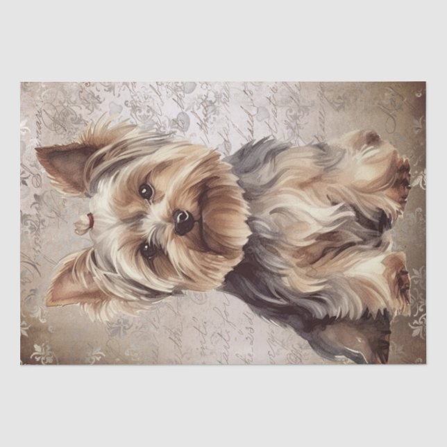 Papel De Seda Perro Terrier de Yorkshire (Anverso)