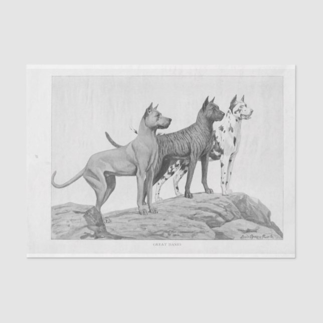 Papel De Seda Perro vintage Ephemera Decoupage Grandes daneses (Anverso)