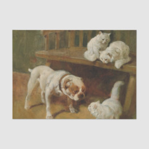 Papel De Seda Perro y gatos por Arthur Heyer