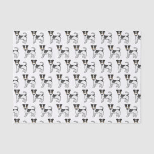 Papel De Seda Perros Terrier Jack Russell de pelaje liso tricolo