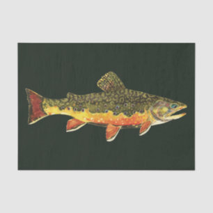 Papel De Seda Pesca de trucha