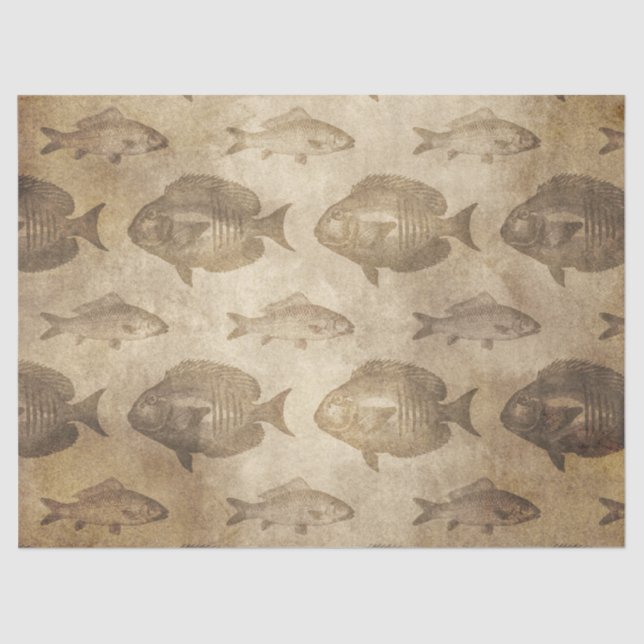 Papel De Seda Pescado añejo en la descomposición marrón (Anverso)