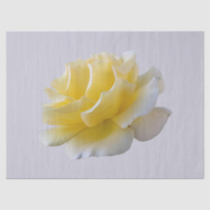 Papel De Seda Pétalos de rosa amarillo