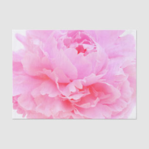 Papel De Seda pétalos rosados