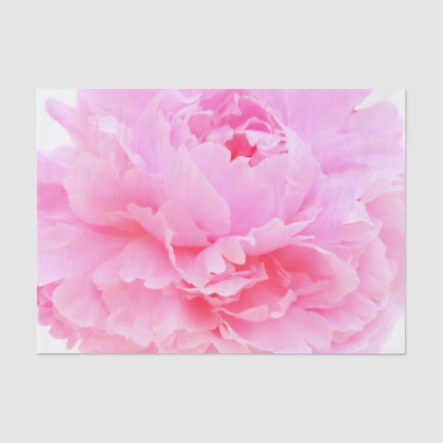 Papel De Seda pétalos rosados (Anverso)