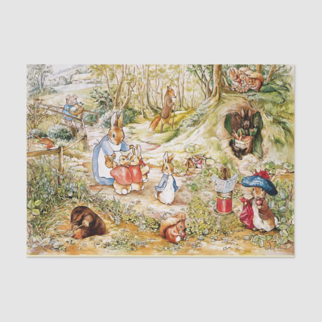 Papel De Seda Peter el conejo (Anverso)