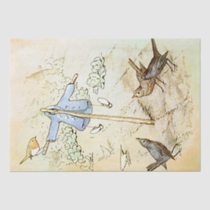 Papel De Seda Peter Rabbit 5 Tissue Paper