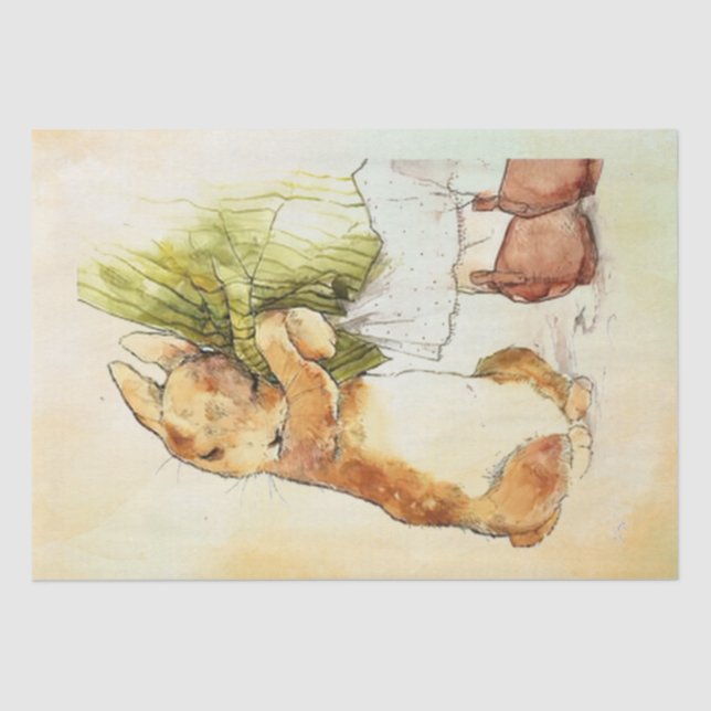 Papel De Seda Peter Rabbit 9Tissue Paper (Anverso)