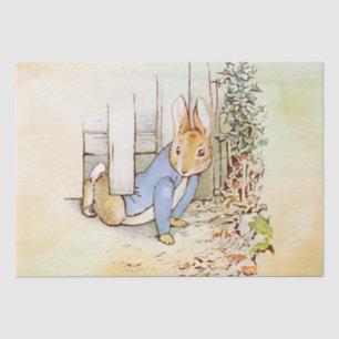Papel De Seda Peter Rabbit Tissue Paper