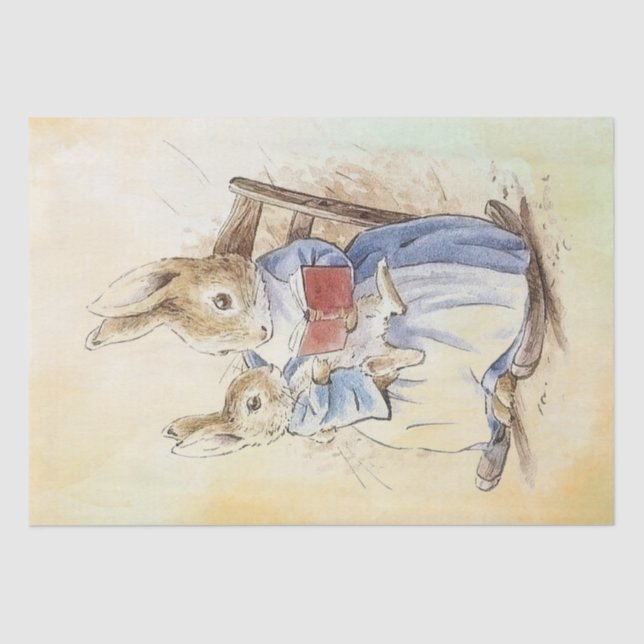 Papel De Seda Peter Rabbit Tissue Paper (Anverso)