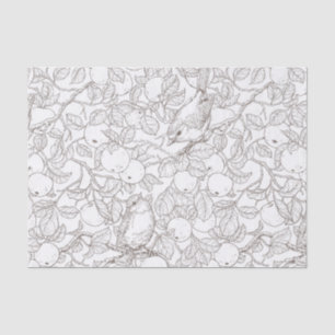 Papel De Seda Petirrojos en el manzano/marrón y blanco
