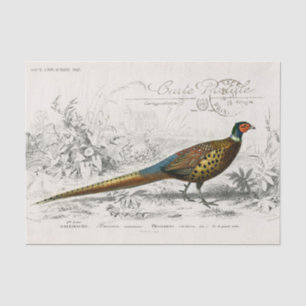 Papel De Seda Pheasant francés ave Carte Postale Decoupage Vint