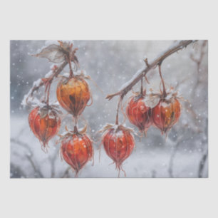 Papel De Seda Physalis Fruit en una rama de la Nieve