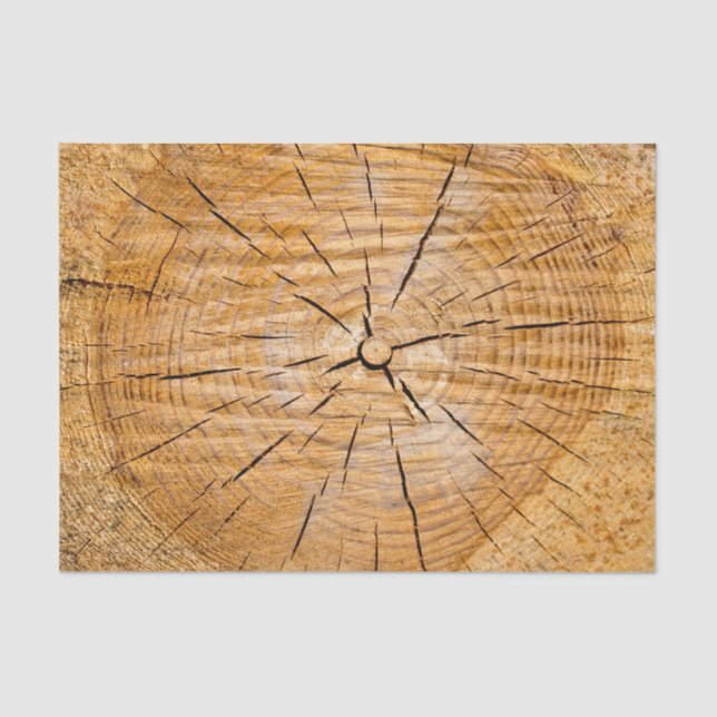 Papel De Seda Pieza de vida (Anverso)