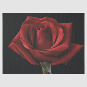 Papel De Seda Pilar de lanzamiento de rosa roja