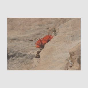 Papel De Seda Pincel indio en rocas en Zion