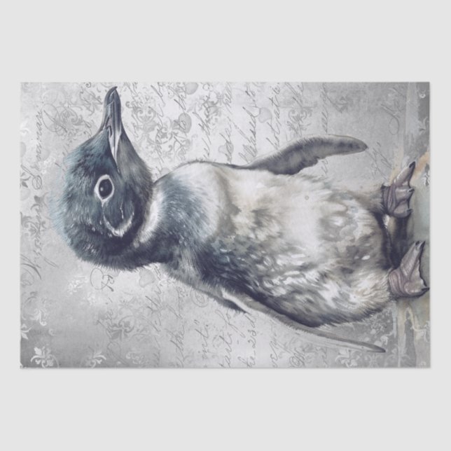 Papel De Seda Pingüino (Anverso)