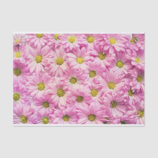 Papel De Seda Pink Daisy (Anverso)