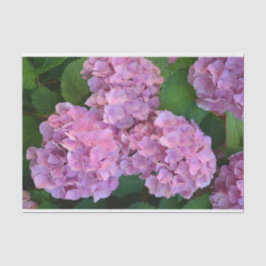 Papel De Seda Pink Hortensia hidrangea flores