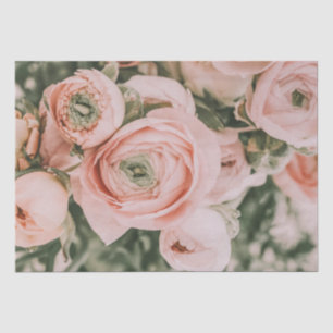 PAPEL DE SEDA: PINK PEONIES