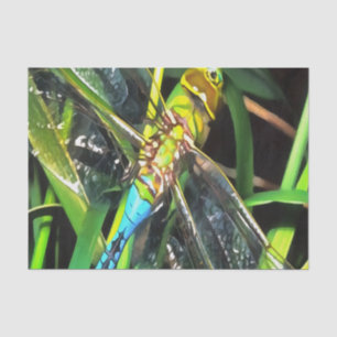 Papel De Seda Pintado de alas con volante azul