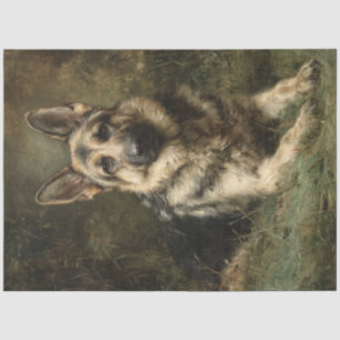 Papel De Seda Pintado de Shepard alemán majestuoso de desahucios