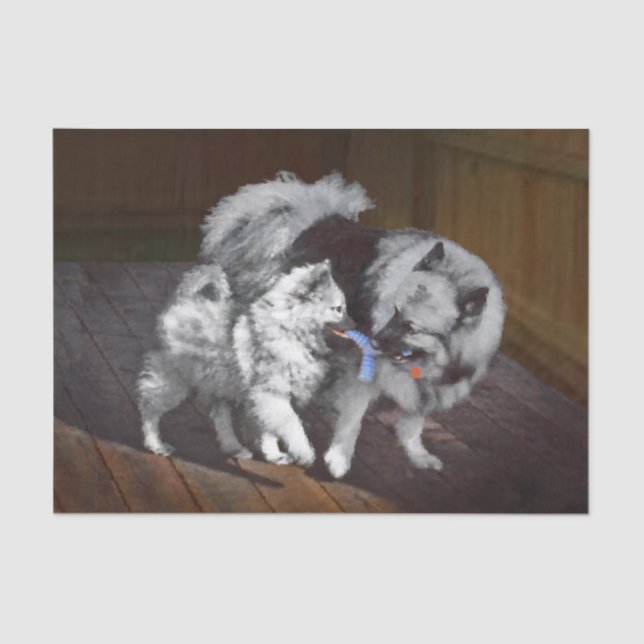 Papel De Seda Pintado Keeshond Playtime - Arte Perro Original. (Anverso)