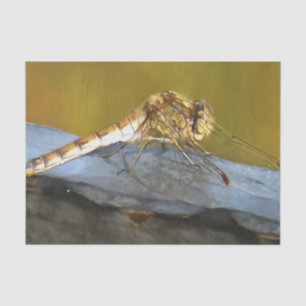 Papel De Seda Pintado realista de la libélula marrón ocre