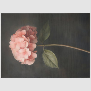 Papel De Seda Pintura botánica de Hortensia Rosa Decoupage