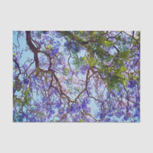 Papel De Seda Pintura de aceite de arbol de Jacaranda púrpura, p