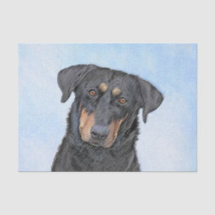 Papel De Seda Pintura de Beauceron - Arte de perros original y b