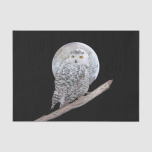 Papel De Seda Pintura de búho y luna de nieve - Arte original de