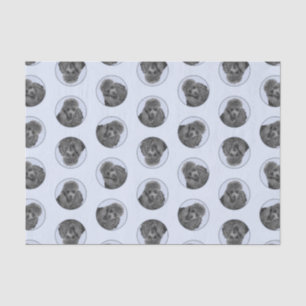 Papel De Seda Pintura de canapé de juguete juguete Mascota negro