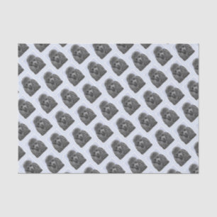 Papel De Seda Pintura de canapé Juguete en miniatura Arte origin