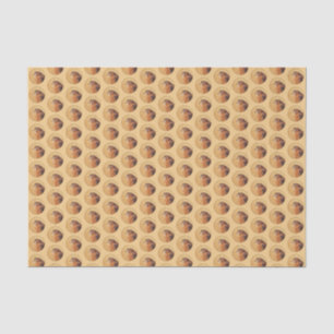 Papel De Seda Pintura de cernícalo estadounidense - Arte de pája
