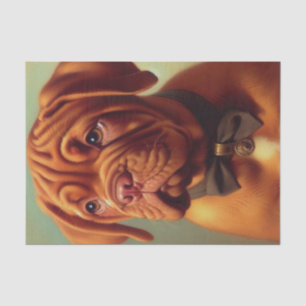 Papel De Seda Pintura de Dogue de Burdeos