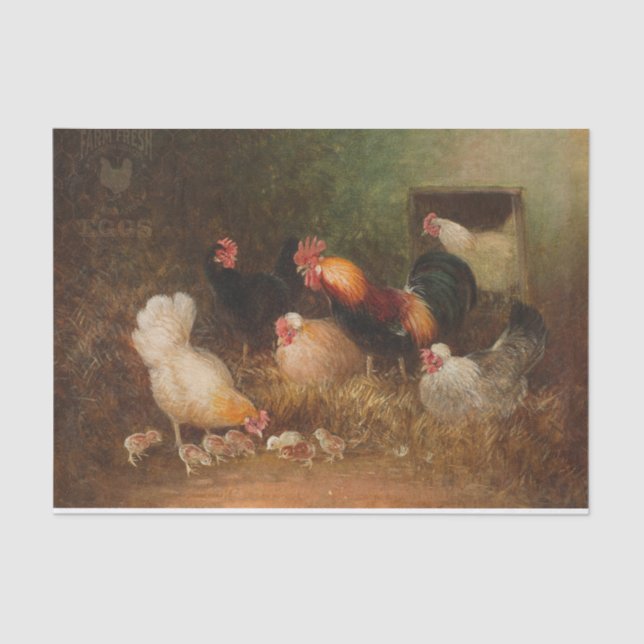 Papel De Seda Pintura de gallos, gallinas y chichas (Anverso)