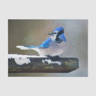 Papel De Seda Pintura de Jay azul - Arte de pájaro original