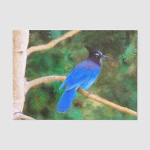 Papel De Seda Pintura de Jay de Steller - Arte de pájaro origina