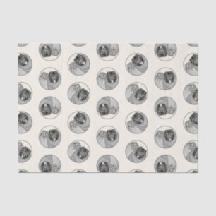 Papel De Seda Pintura de Keeshond 2 Keeshonden Original Dog Art