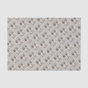 Papel De Seda Pintura de Keeshond Brothers - Arte Perro Original