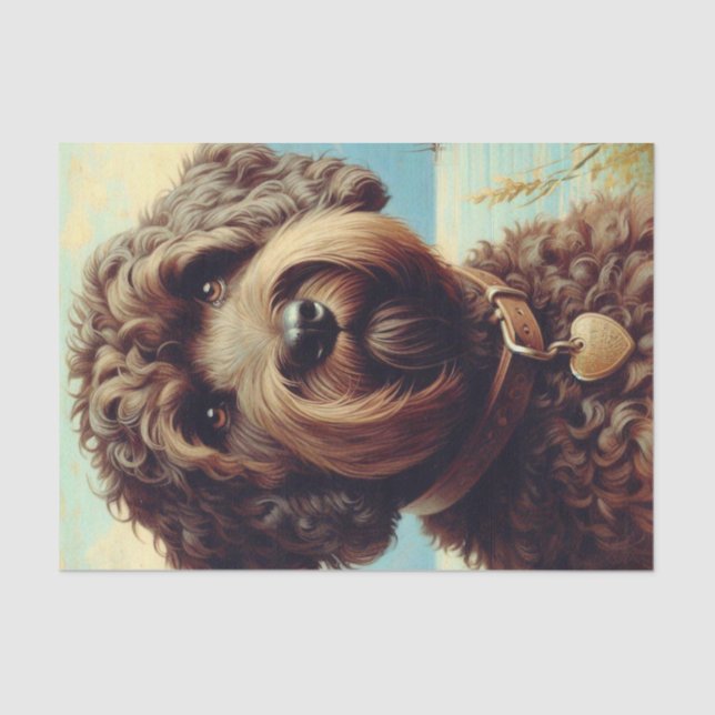 Papel De Seda Pintura de Lagotto Romagnolo (Anverso)