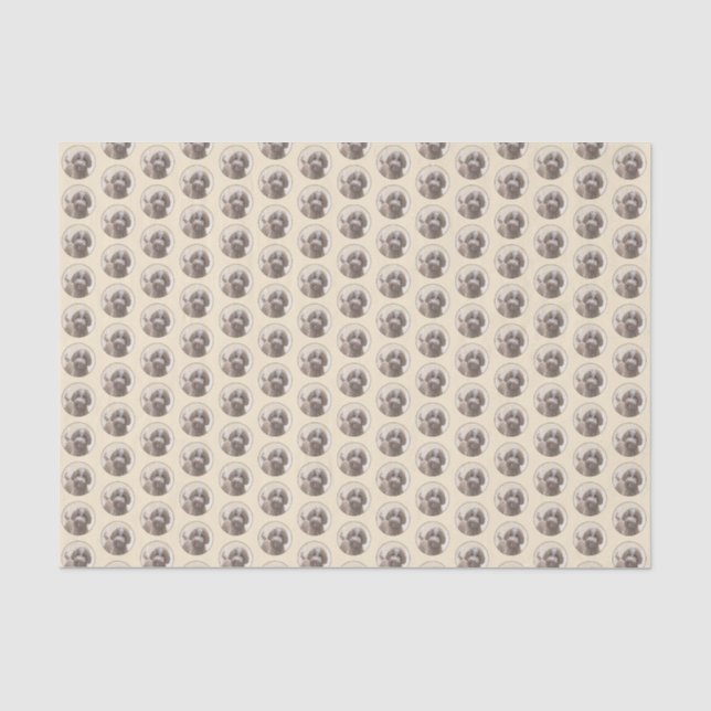 Papel De Seda Pintura de Lagotto Romagnolo - Arte de perro origi (Anverso)