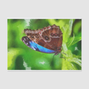 Papel De Seda Pintura de mariposa
